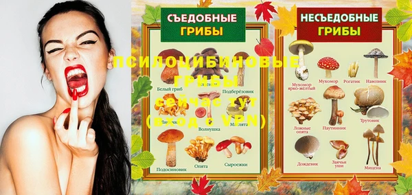 первитин Володарск